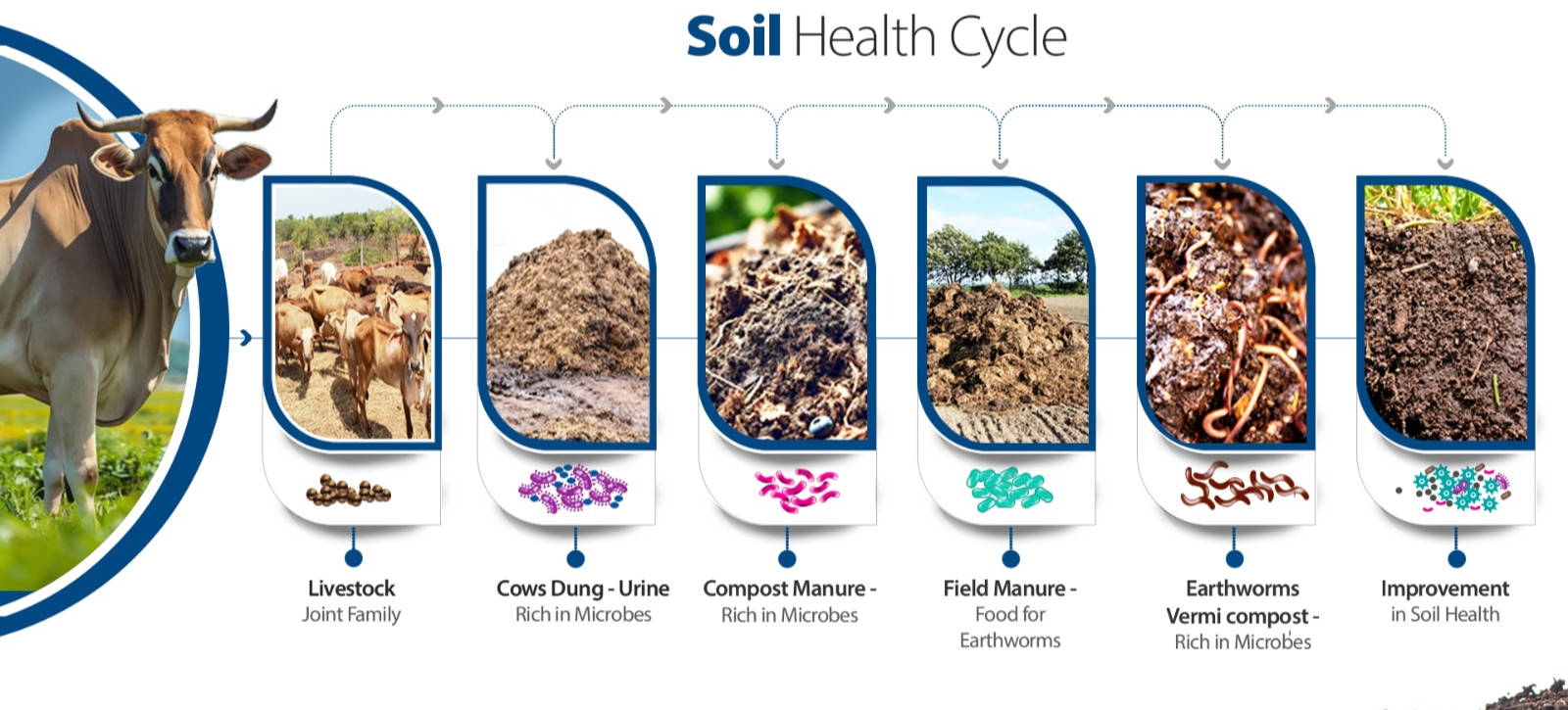 soil